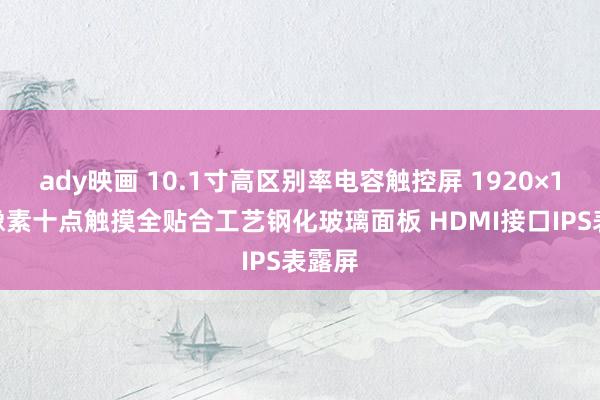 ady映画 10.1寸高区别率电容触控屏 1920×1200像素十点触摸全贴合工艺钢化玻璃面板 HDMI接口IPS表露屏