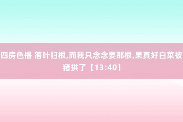 四房色播 落叶归根，而我只念念要那根，果真好白菜被猪拱了【13:40】