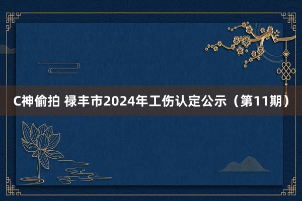C神偷拍 禄丰市2024年工伤认定公示（第11期）