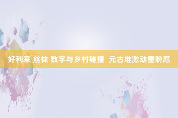 好利来 丝袜 数字与乡村碰撞  元古堆激动重盼愿
