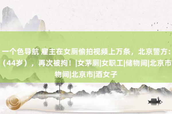 一个色导航 雇主在女厕偷拍视频上万条，北京警方：张某某（44岁），再次被拘！|女茅厕|女职工|储物间|北京市|酒女子