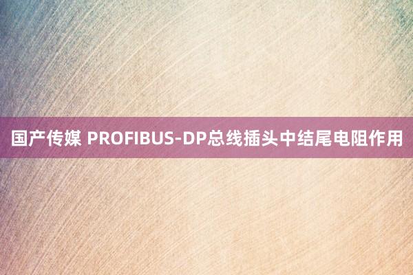 国产传媒 PROFIBUS-DP总线插头中结尾电阻作用
