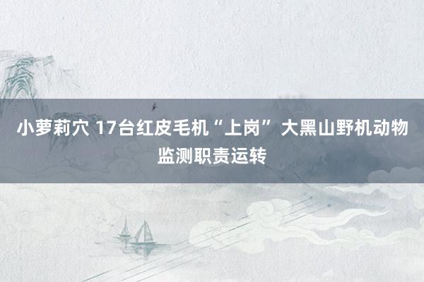 小萝莉穴 17台红皮毛机“上岗” 大黑山野机动物监测职责运转