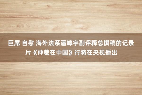 巨屌 自慰 海外法系潘皞宇副评释总撰稿的记录片《仲裁在中国》行将在央视播出