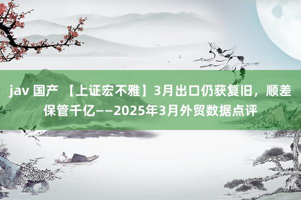 jav 国产 【上证宏不雅】3月出口仍获复旧，顺差保管千亿——2025年3月外贸数据点评