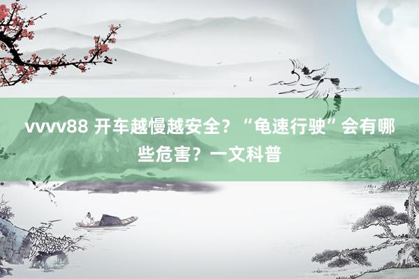 vvvv88 开车越慢越安全？“龟速行驶”会有哪些危害？一文科普