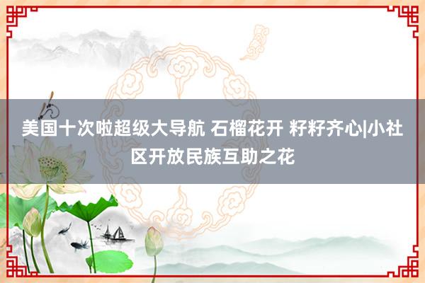 美国十次啦超级大导航 石榴花开 籽籽齐心|小社区开放民族互助之花