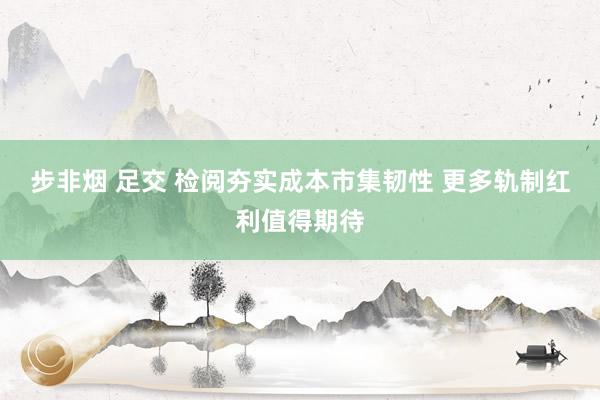 步非烟 足交 检阅夯实成本市集韧性 更多轨制红利值得期待
