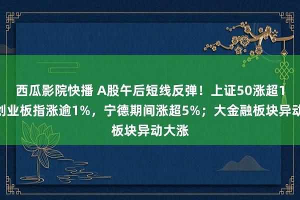 西瓜影院快播 A股午后短线反弹！上证50涨超1%，创业板指涨逾1%，宁德期间涨超5%；大金融板块异动大涨